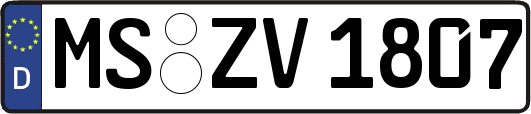 MS-ZV1807