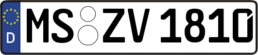 MS-ZV1810