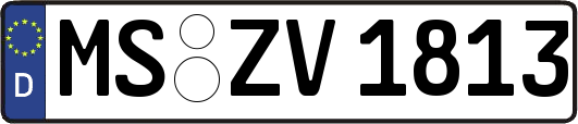MS-ZV1813