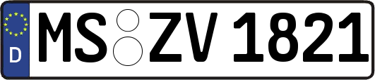 MS-ZV1821
