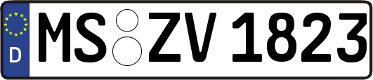MS-ZV1823