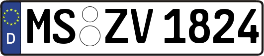 MS-ZV1824