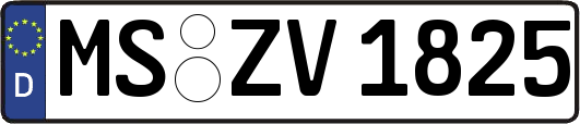 MS-ZV1825