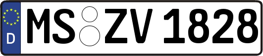 MS-ZV1828