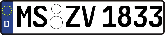 MS-ZV1833