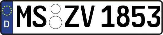 MS-ZV1853