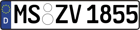 MS-ZV1855