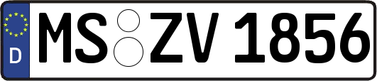 MS-ZV1856