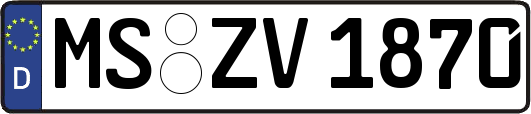 MS-ZV1870