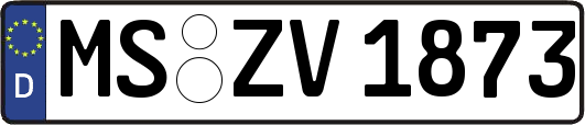 MS-ZV1873