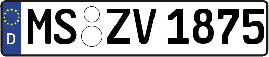 MS-ZV1875