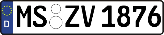 MS-ZV1876