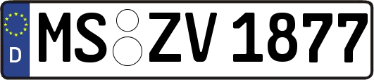MS-ZV1877