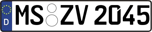 MS-ZV2045