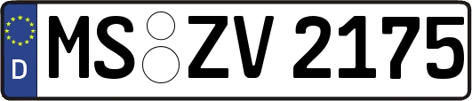 MS-ZV2175