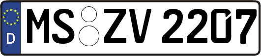 MS-ZV2207