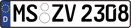 MS-ZV2308
