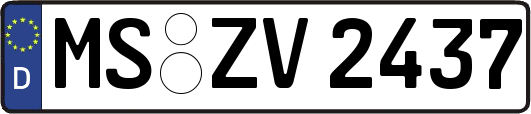 MS-ZV2437