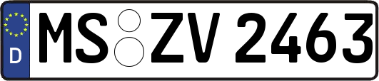 MS-ZV2463