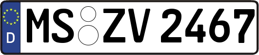 MS-ZV2467