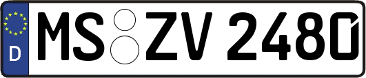 MS-ZV2480
