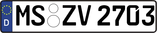 MS-ZV2703