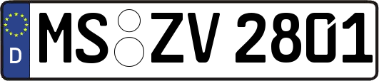 MS-ZV2801