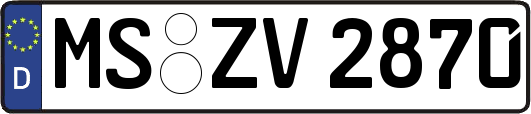 MS-ZV2870