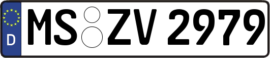MS-ZV2979