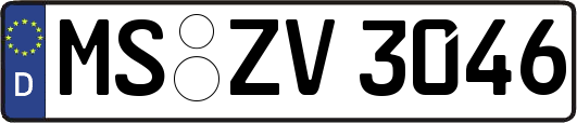 MS-ZV3046