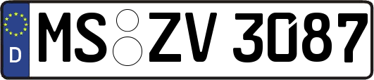 MS-ZV3087