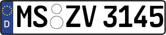 MS-ZV3145