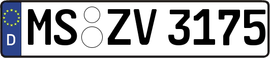 MS-ZV3175