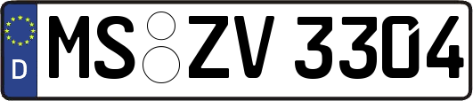 MS-ZV3304