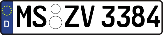MS-ZV3384