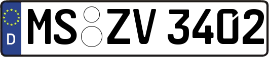 MS-ZV3402