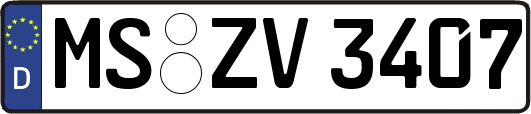 MS-ZV3407