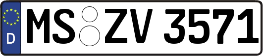 MS-ZV3571