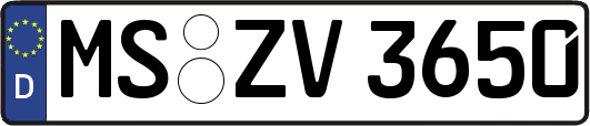 MS-ZV3650