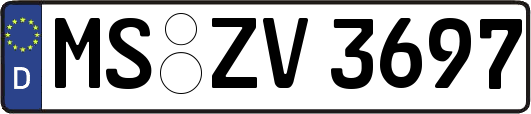 MS-ZV3697