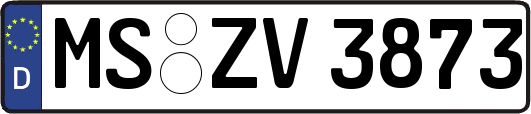 MS-ZV3873