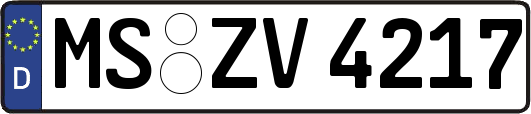 MS-ZV4217