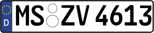 MS-ZV4613
