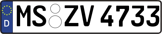 MS-ZV4733
