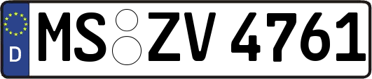 MS-ZV4761