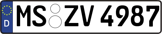 MS-ZV4987