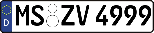 MS-ZV4999