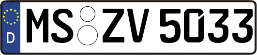 MS-ZV5033