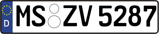 MS-ZV5287