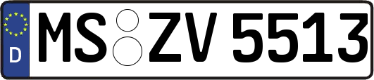 MS-ZV5513